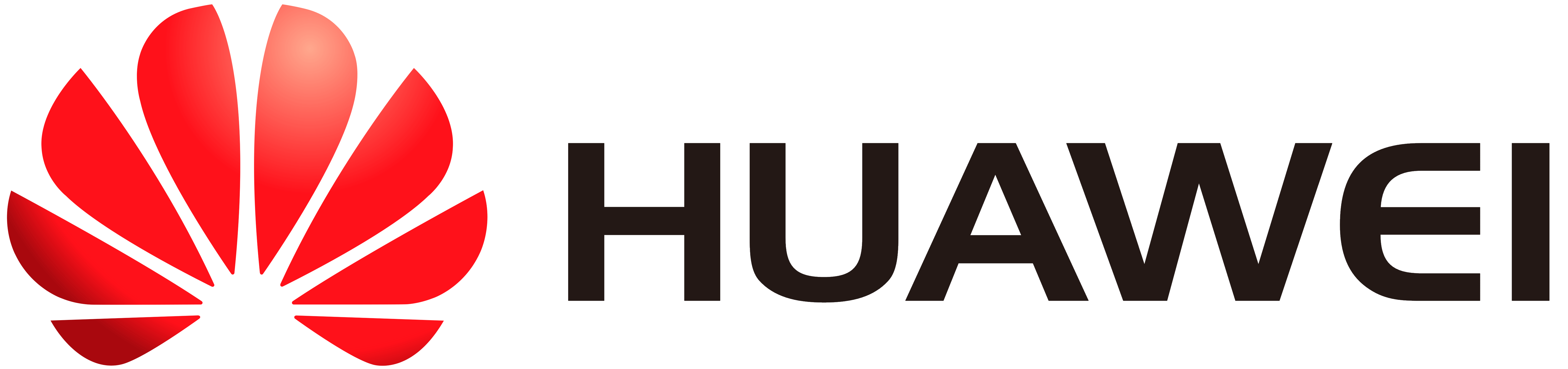 Error processing Huawei